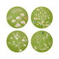 Chinoiserie Coaster Green - Set of 4