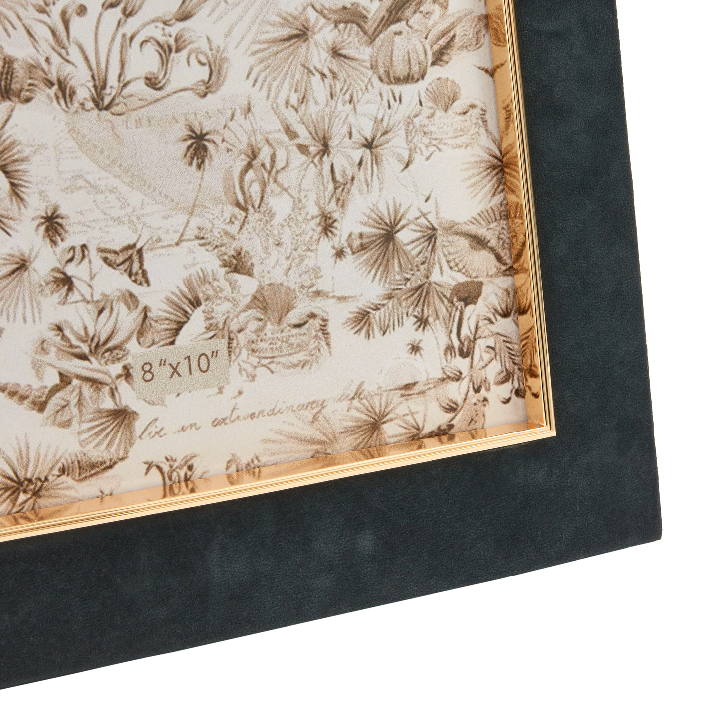 Deer Park Frame